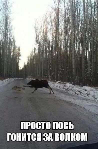 Юмор в картинках и без