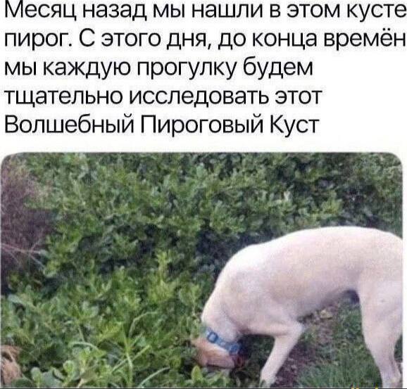 Картинки и мемы, всем хороших выходных