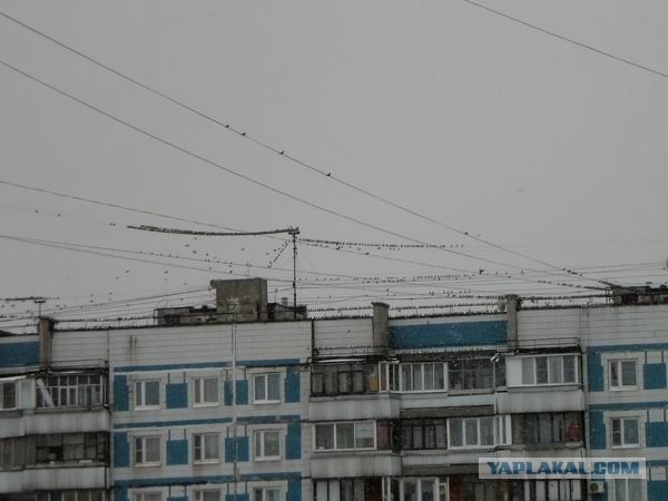 Не долгим было счастье :)