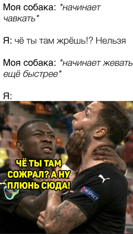Картинки и мемы, всяко разно - 175
