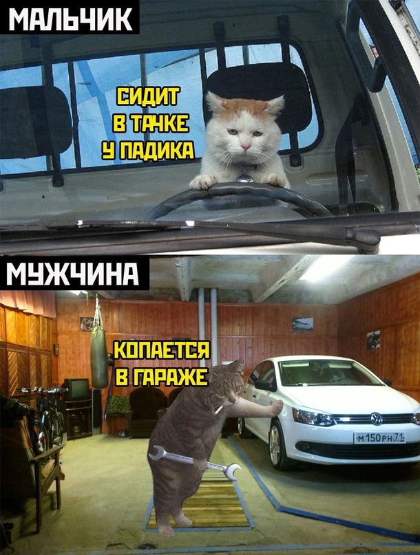 Картинки и мемы, всяко разно - 179
