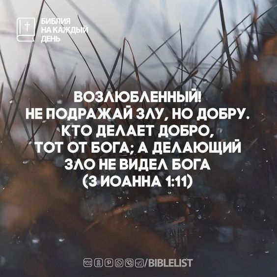 Прикольные и просто красивые картинки 26.01.2024
