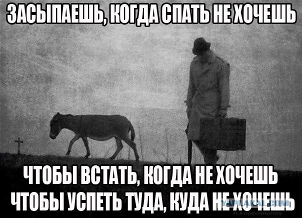 Так и живу...