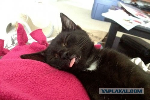 Поработал,можно и поесть)))