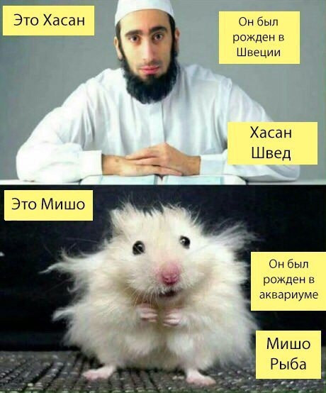 Мисс Франция 2025