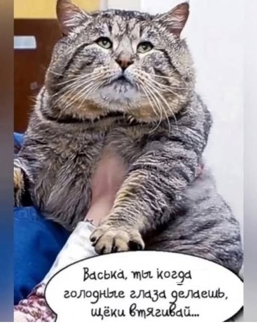 Картинки разные с надписями и без