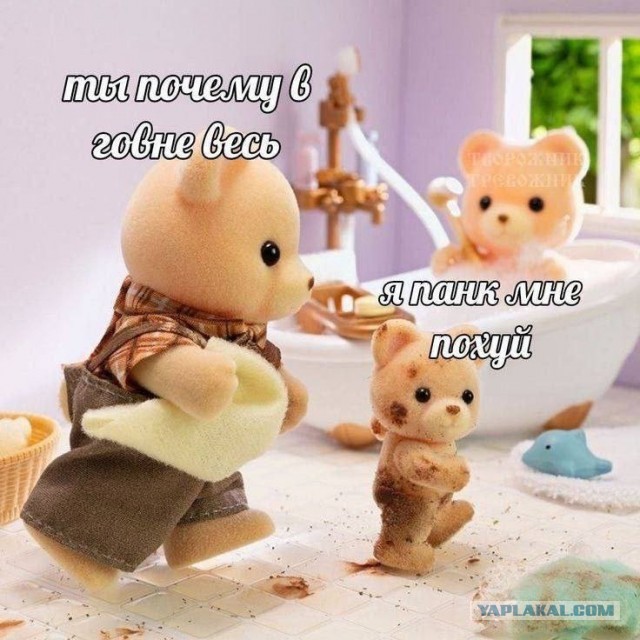 Так себе картинки 24.03.25