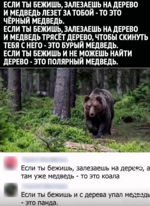 Картинки разные с надписями и без