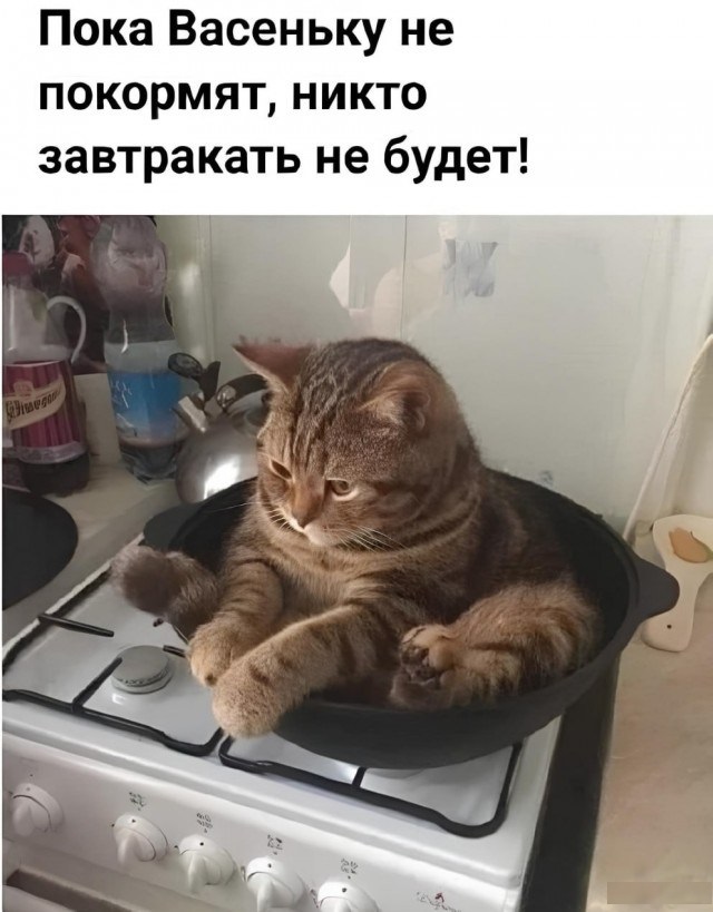 ТРРРидцать тРРРи от 19 июня