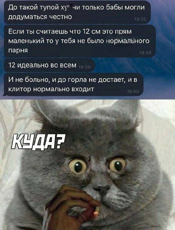Забавные и не очень скромные картинки - 15