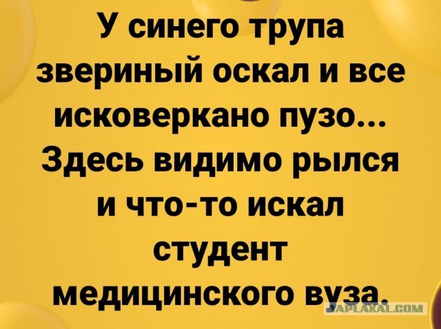 Субботим по баянам