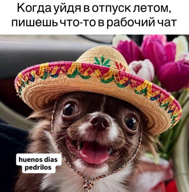 Картиночки, баянчики 01 июля