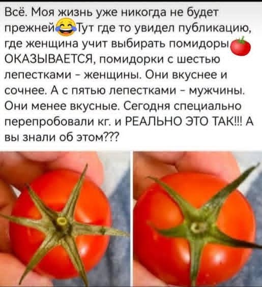 Любителям помидор...