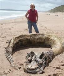 Ужасы морей и океанов