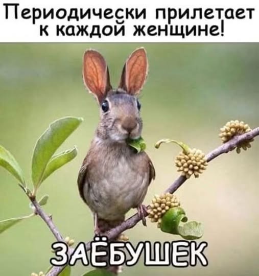 тРРРидцать тРРРи от 22 октября