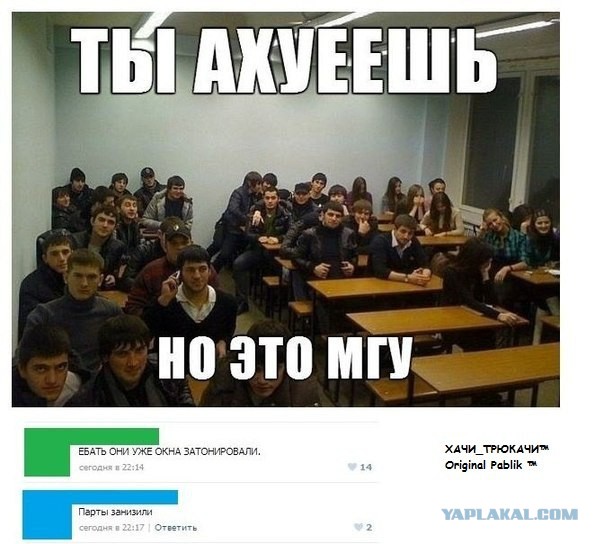 Смешные комментарии из социальных сетей