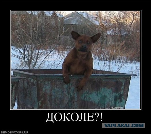Маша и медведь отдыхают