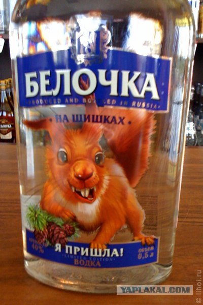 Студенческий юмор