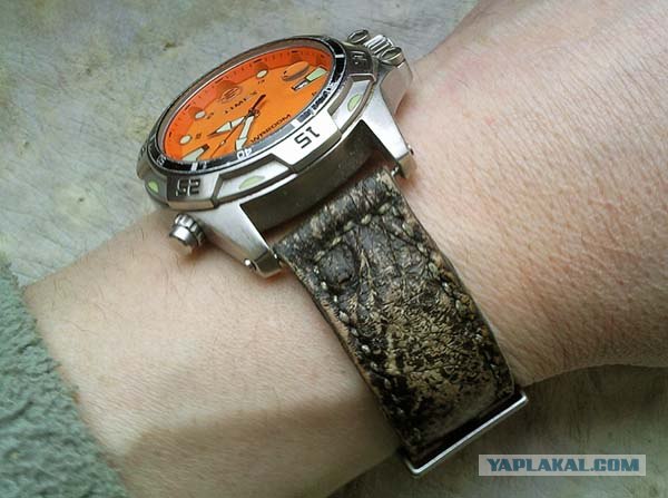 Рукоблудие со страусом.