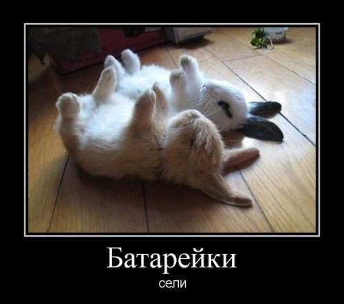 Веселые картинки