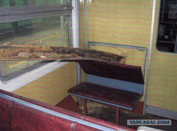 Поезд-беглец