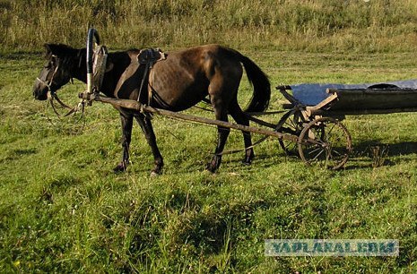 Аль Пачино так постарел