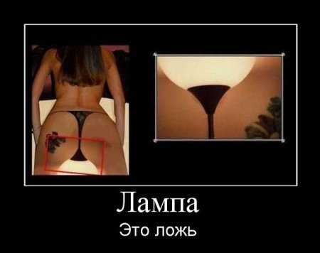 Откуда взялся кот с лампой?