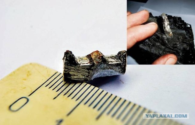 В каменном угле нашли рейку возрастом 300 млн. лет