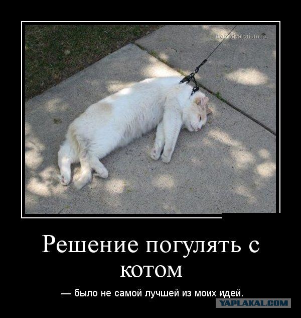 Картинки с просторов на четверг