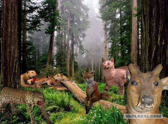 Картинки наркомании