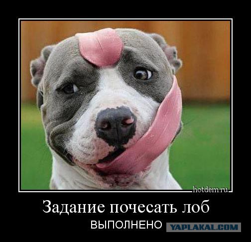 Этот парень реально доволен жизнью
