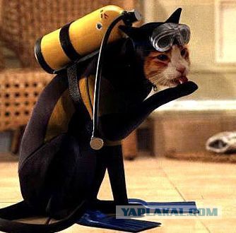 Зловещее существо вылезло из унитаза