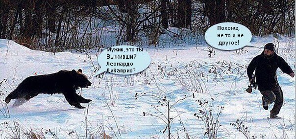 Извини, уважаемый. Я просто спросить.