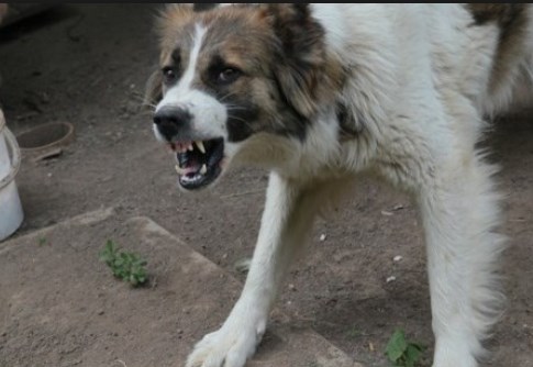 Как открыть дверной замок с поворотной ручкой