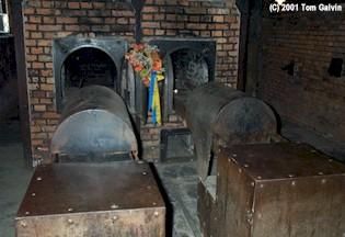 15-ти летняя студентка колледжа написала работу опровергающую Холокост евреев, получила А (10)