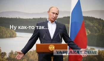 Как мы в очередной раз просрали выборы