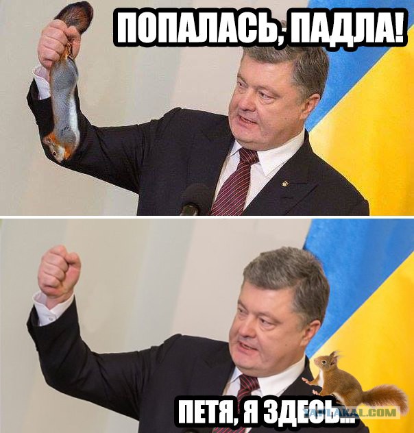 Киев заявил о получении от ООН просьбы Януковича ввести войска России на Украину