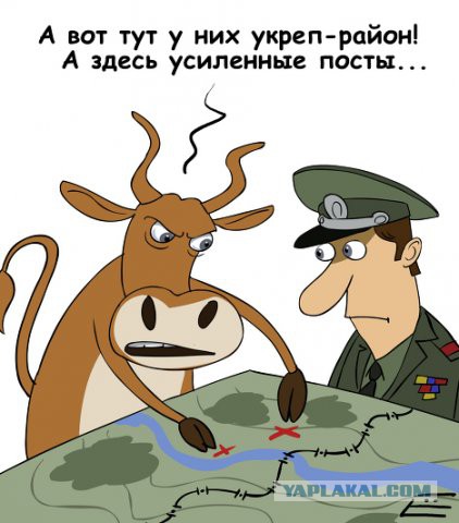 В Россельхознадзоре нашли основания для запрета всей белорусской говядины.  А кто-то удивлен?