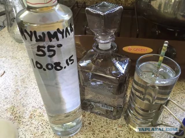 Водка Поцелуй