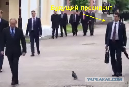 Путин поздоровался с голубем