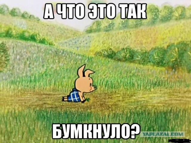 Групповая премия Дарвина улетает в Сирию
