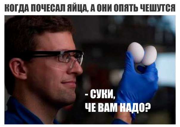 Записки сумасшедшего школьника