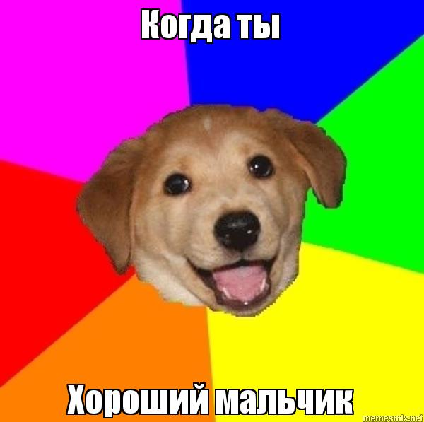 Какой же он умничка!