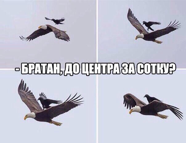 Тупик эволюции
