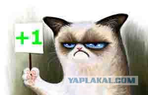 Жириновский - а чё вы по морде бьёте, бл..