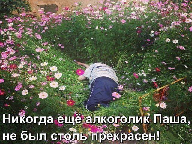 И шо у нас тут? Опа, картинки что-ли?
