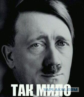 Молодые тигрицы Приморского сафари-парка