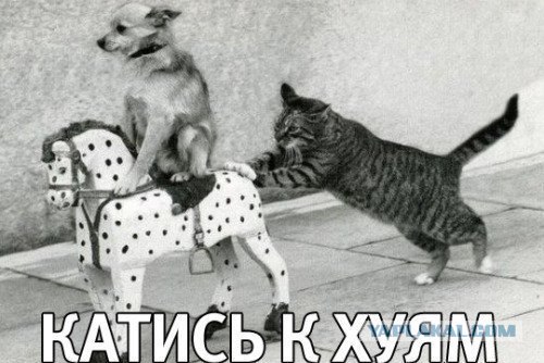 "Гладильные" места
