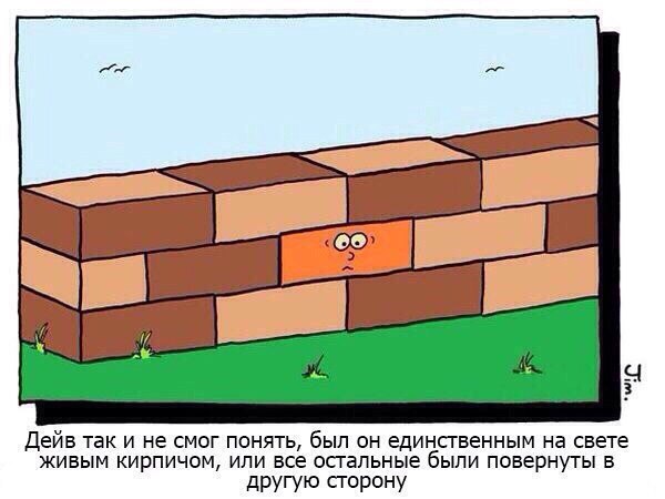 Сборище картинок