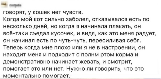 Чуток картинок 14.10.19
